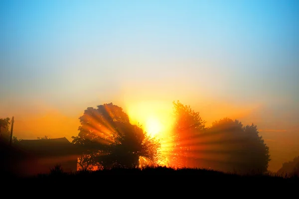 美しい夜明け — ストック写真