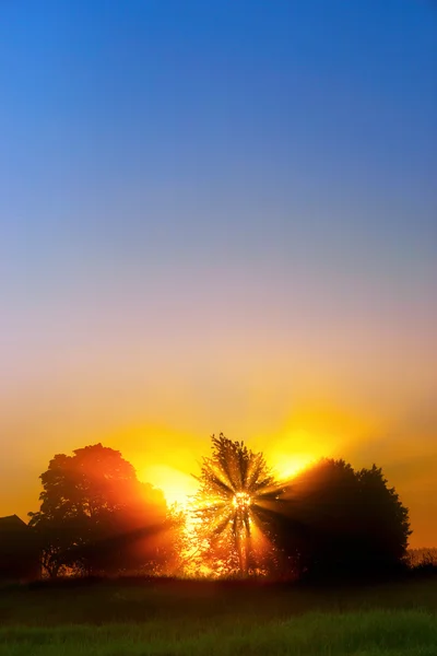 美しい夜明け — ストック写真
