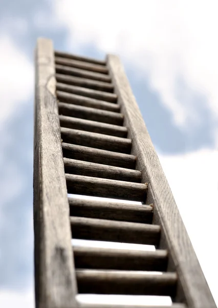 Ladder on sky — Stock Photo, Image