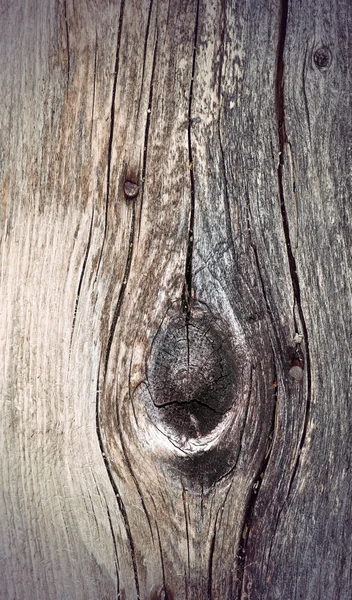 Oude geknoopte verweerde hout — Stockfoto