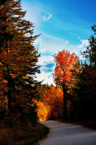 Route rurale en automne — Photo