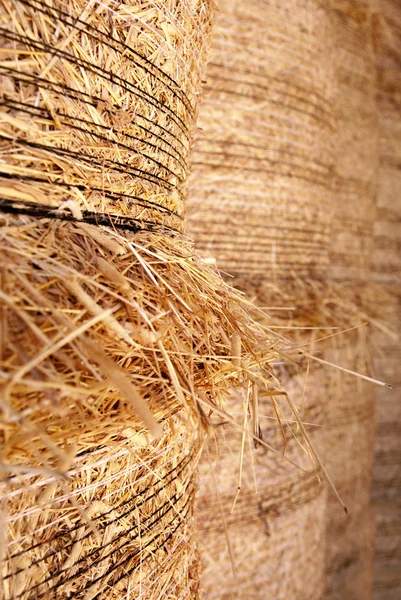 Balyalanmış saman — Stok fotoğraf