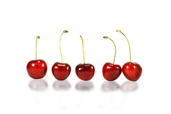 stock image Five red cherries