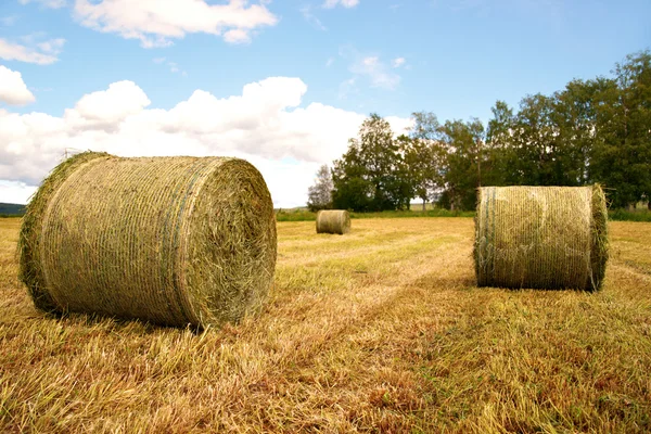 Сельский пейзаж с тюками сена — стоковое фото