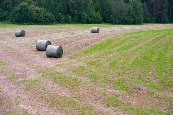 Paesaggio rurale con balle di fieno — Foto Stock