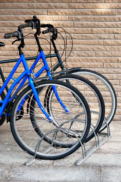 3 자전거 — 스톡 사진