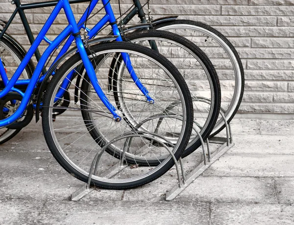 Drei Fahrräder — Stockfoto