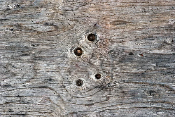 Κόμπους ξύλο — Φωτογραφία Αρχείου