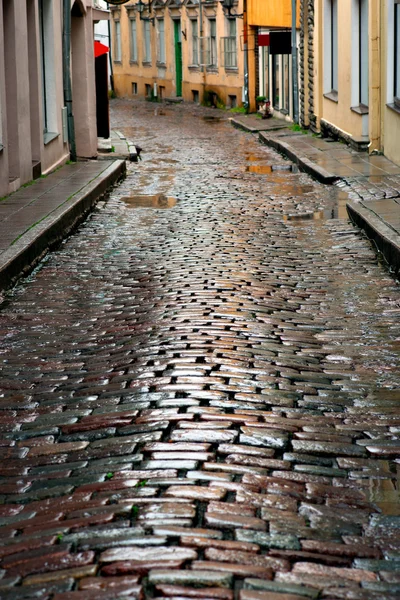 Tallinn 'deki Islak Sokak — Stok fotoğraf