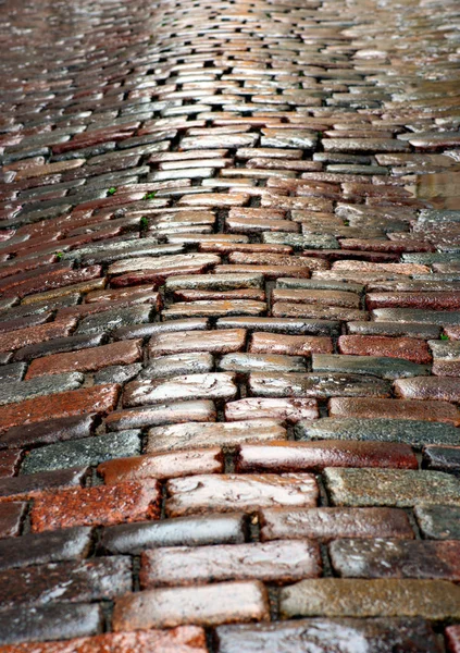 Wet cobblestones — Stock Photo, Image