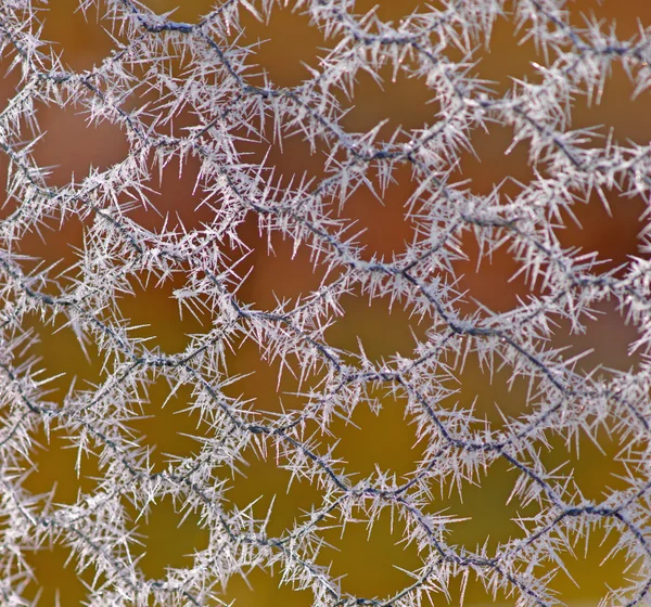 Кристаллы льда на металле — стоковое фото