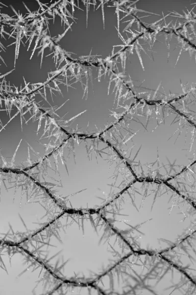 Ledové krystaly na kov — Stock fotografie