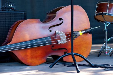 Double bass clipart