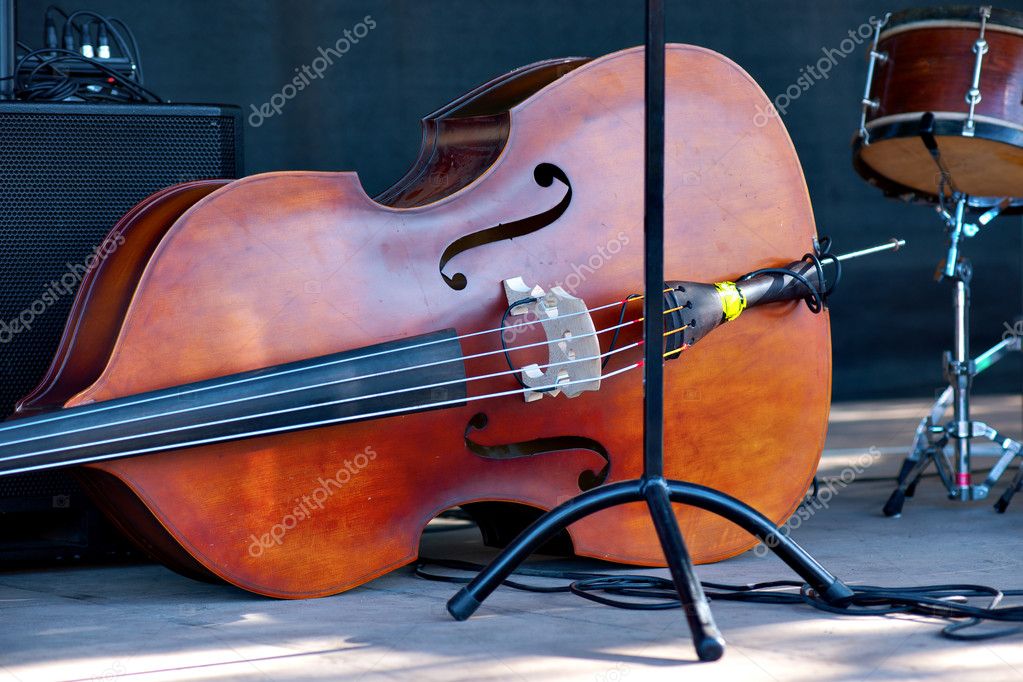 Double bass — Stock Photo © PinkBadger 12279175