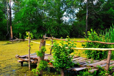 The old wooden bridge on the bank clipart