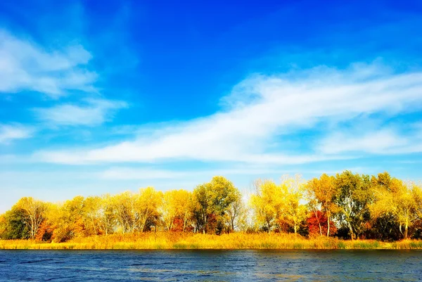 Autumn trees by the river — Stock Photo, Image