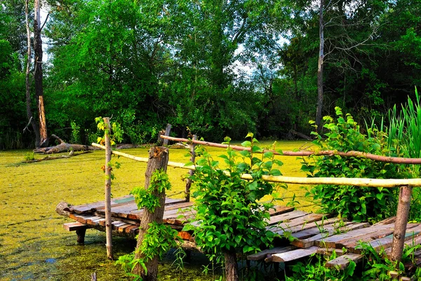 Il vecchio ponte di legno sulla riva Immagini Stock Royalty Free