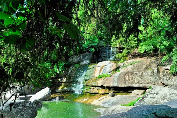 stock image A small waterfall with rocks and green trees