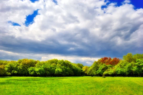 Cloudy sky over the green forest — Stock Photo, Image