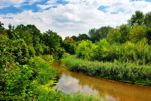The river on a sunny day — Stock Photo, Image