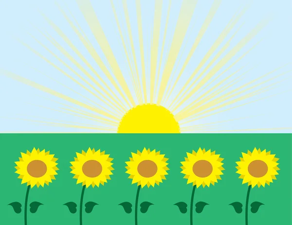 Tournesols avec fond de soleil — Image vectorielle