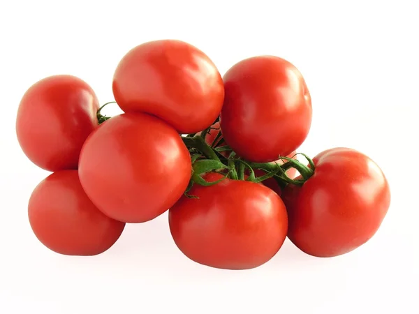 Grono czerwone pomidory — Zdjęcie stockowe