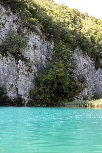 Groen water en witte stenen in plitvice nationaal park — Stockfoto