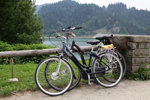 Туристические велосипеды возле озера на дороге — стоковое фото