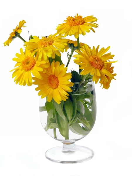 Piccolo posy di fiori di calendula gialli in vetro — Foto Stock