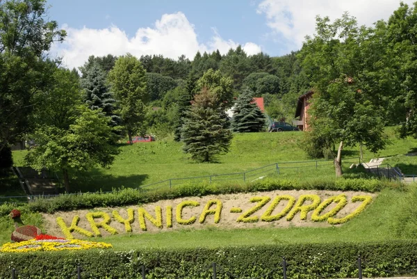 Descrizione floreale con il nome della città Krynica Zdroj in estate — Foto Stock