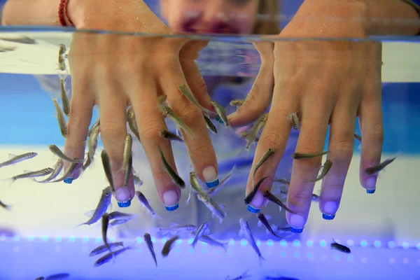 stock image Fish spa