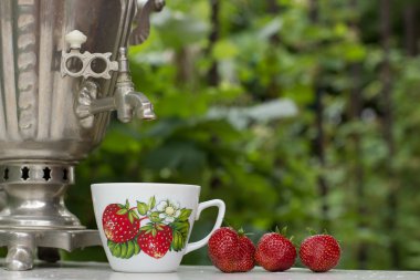 Russian samovar tea on the nature