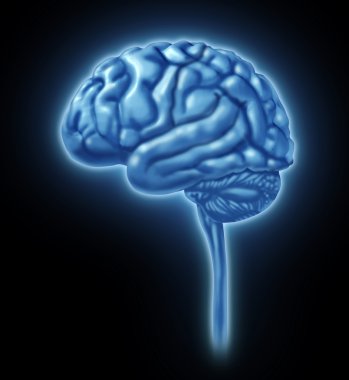 Human Brain Concept clipart