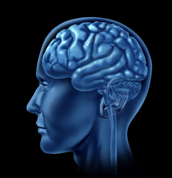 神经病学象征的大脑 — 图库照片