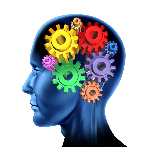 Intelligens hjärnans funktion — Stockfoto