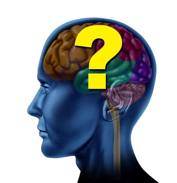 Brain Questions — Stock Photo, Image