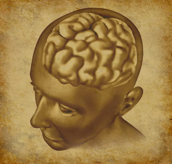 Brain On a Grunge Background — Stock Photo, Image