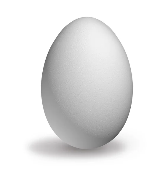 White Egg — Stock Photo, Image