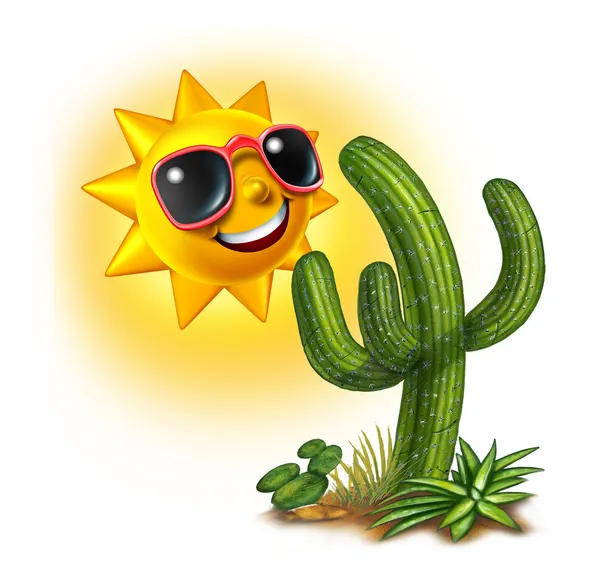 Kaktus und Sonne — Stockfoto