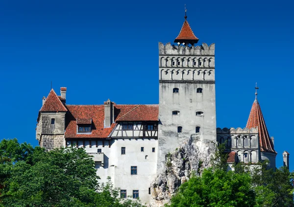 Castillo de Drácula, salvado, Rumania —  Fotos de Stock