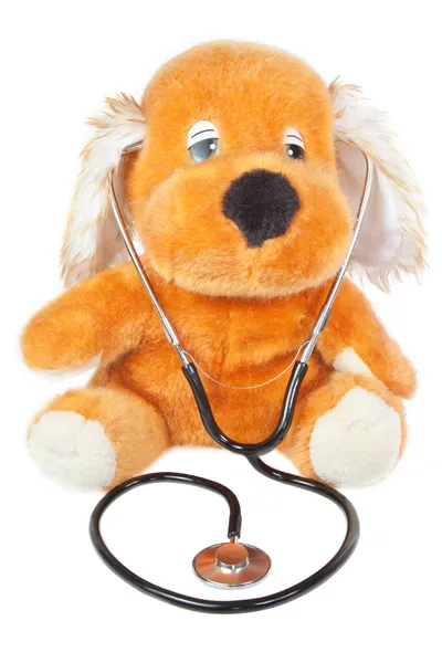 Een teddybeer met stethoscoop kinderarts. op een witte pagina — Stockfoto