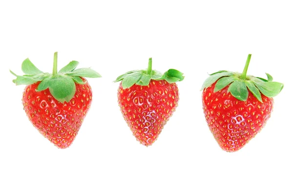 Trois fraises fraîches closeup. — Photo