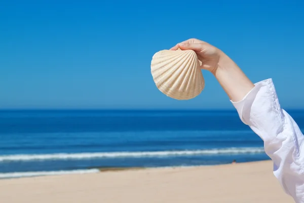 A girl holds a large seashell. Against the background the sea. — Stock Photo, Image