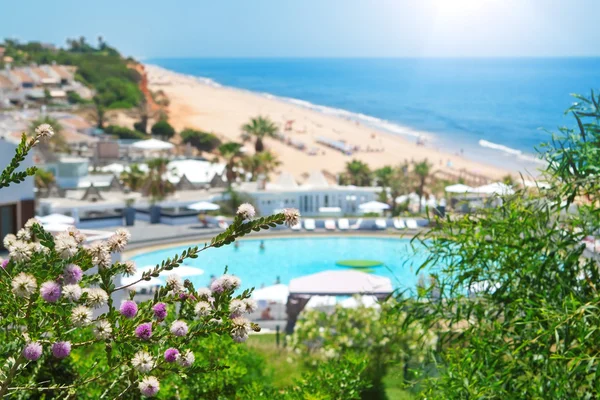 Flora op de achtergrond van het strand, zwembad en de Zoni — Stockfoto