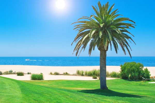 Letní den na golfovém hřišti a oceán v Portugalsku. — Stock fotografie