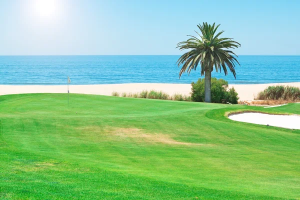 Прекрасний літній день на полі для гольфу біля моря . — стокове фото