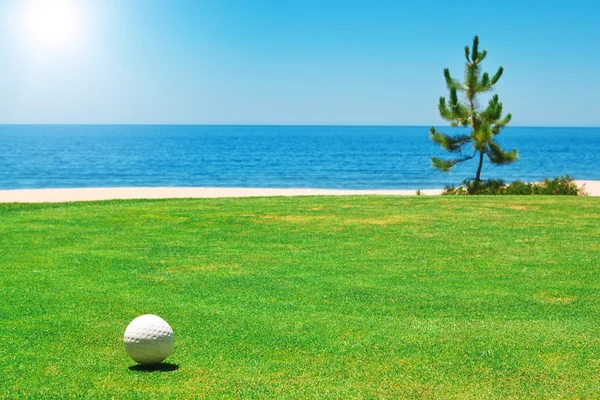 Мяч для гольфа на зеленой траве с океаном. Португалия. — стоковое фото