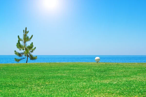 Golfový míček poblíž stromu na pozadí v oceánu. Portugalsko — Stock fotografie