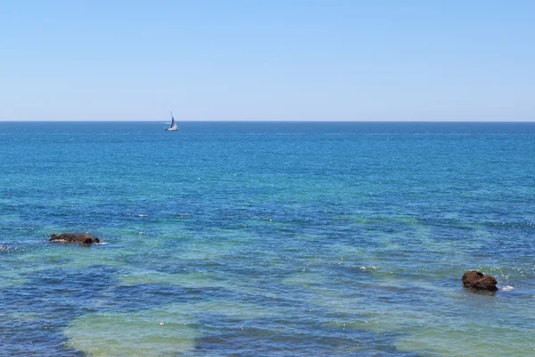 Sailfish on blue transparent sea. — Stock Photo, Image
