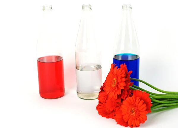 Stock image Dutch flag and flowers